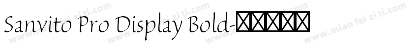 Sanvito Pro Display Bold字体转换